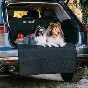 Zwei Hunden liegen im offenen Kofferraum auf einem Rudelkönig Kofferraumschutz