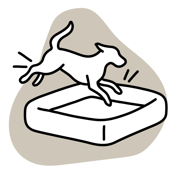 DPD_Icons_Vorteile_Hundebett_Praktisch_im_Alltag.png