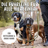 Führleine für kleine, mittlere oder Führleine für große Hunde. Unsere Führleine Bella kann einfach alles.