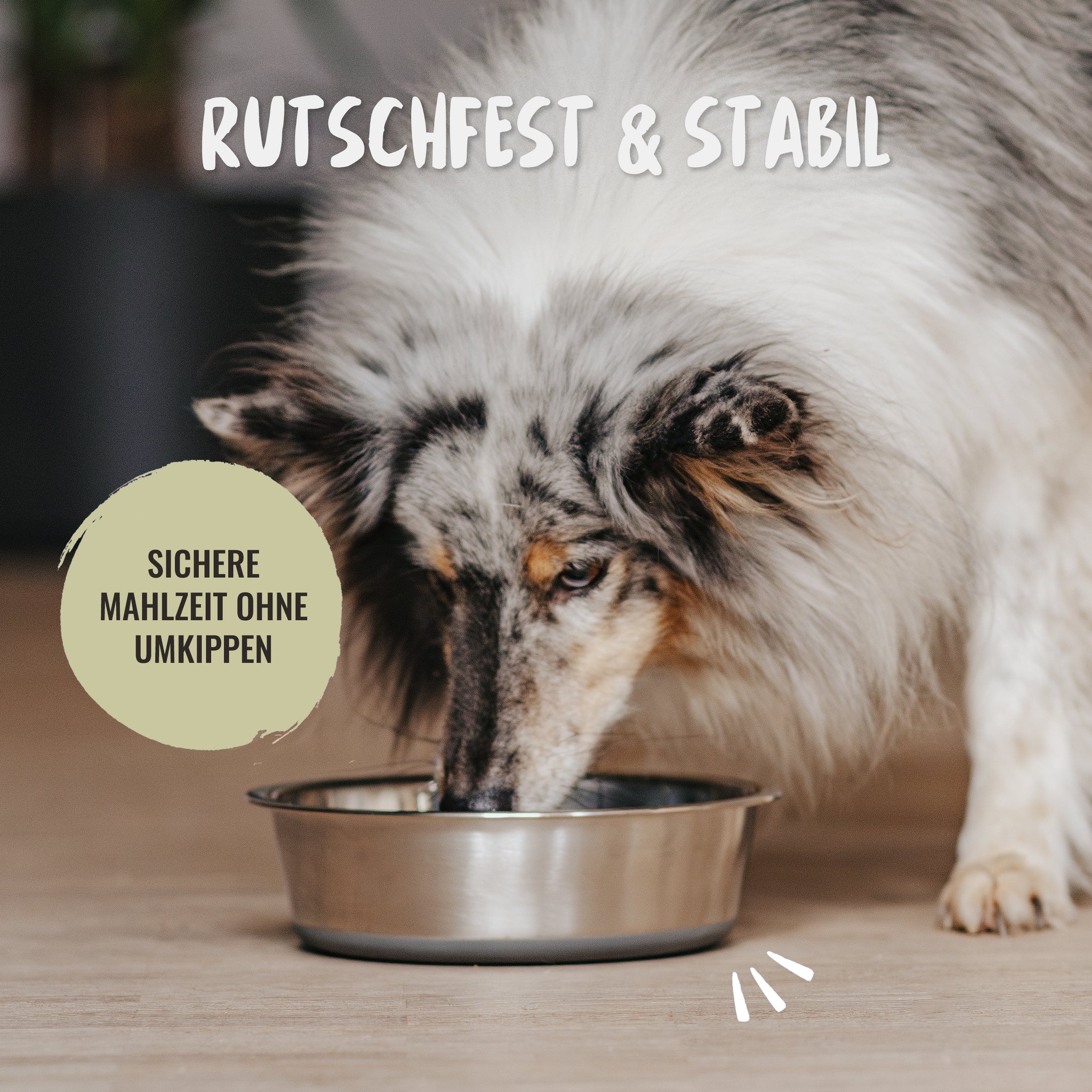 Der rutschfeste Edelstahl Futternapf für Hundefutter oder Katzenfutter garantiert eine sichere stabile Mahlzeit
