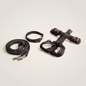 Das Gassiset Paola von Rudelkönig in schwarz mit reflektierenden Nähten beinhalten ein Hundegeschirr, eine Führleine und ein Halsband.