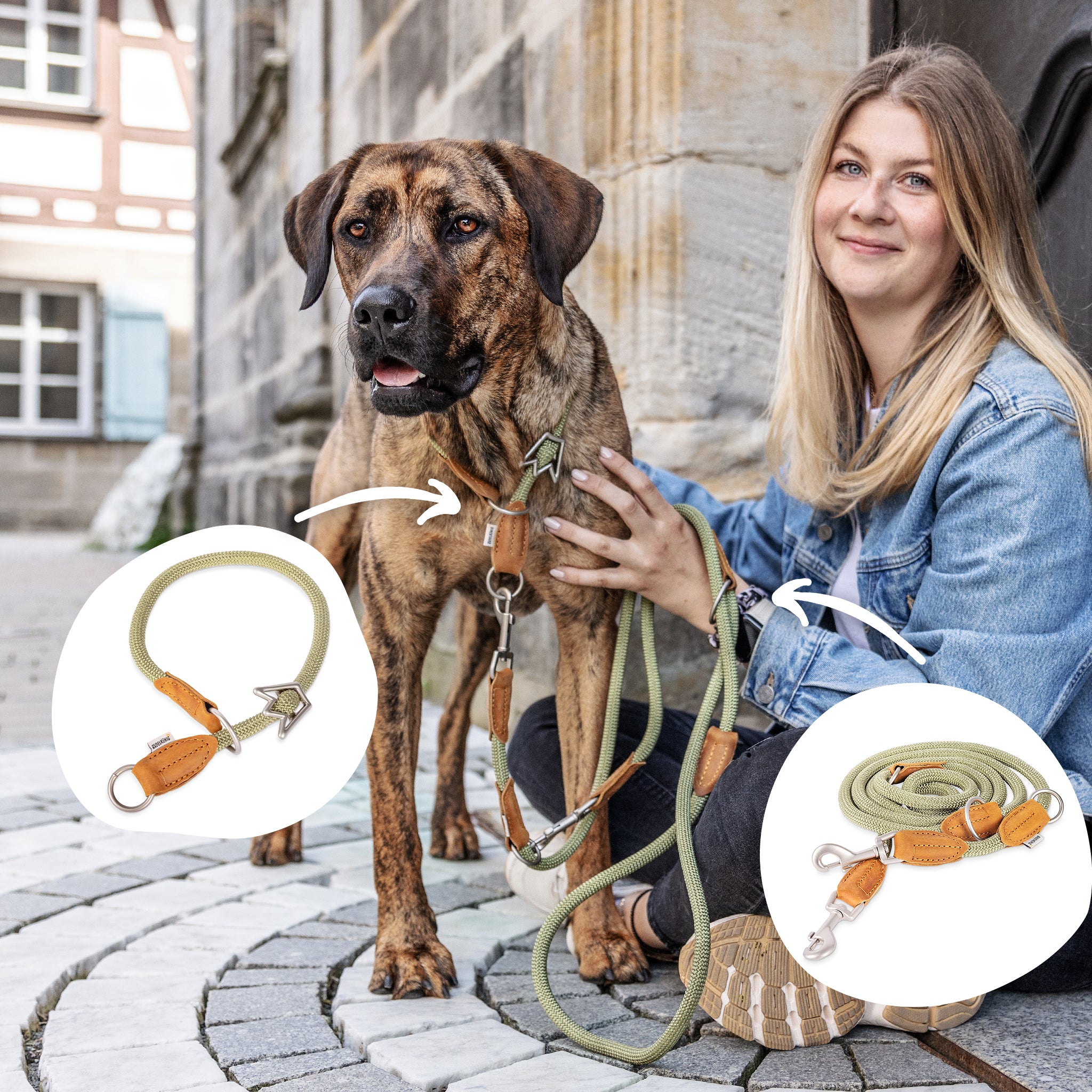 Gassi Set Emma mit khaki grüner Leine und Zugstopphalsband gefällt Hund und Halter.