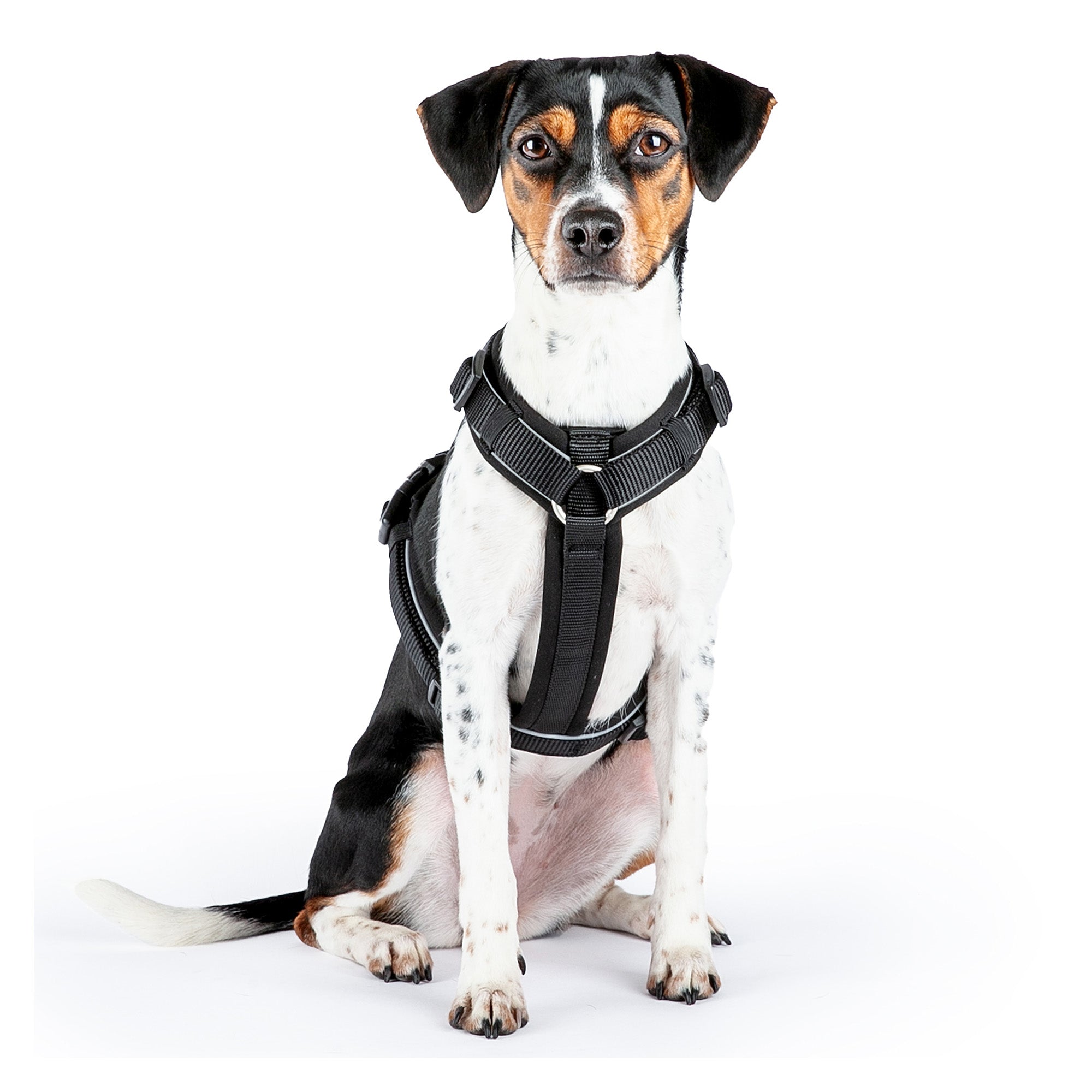 Das Hundegeschirr passt großen Hunden ist aber auch als Hundegeschirr für kleine Hunde perfekt geeignet.