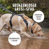 Mit dem Hundegeschirr hat ein Hund im Wasser oder im Wald immer Spaß beim Gassi-Gehen.