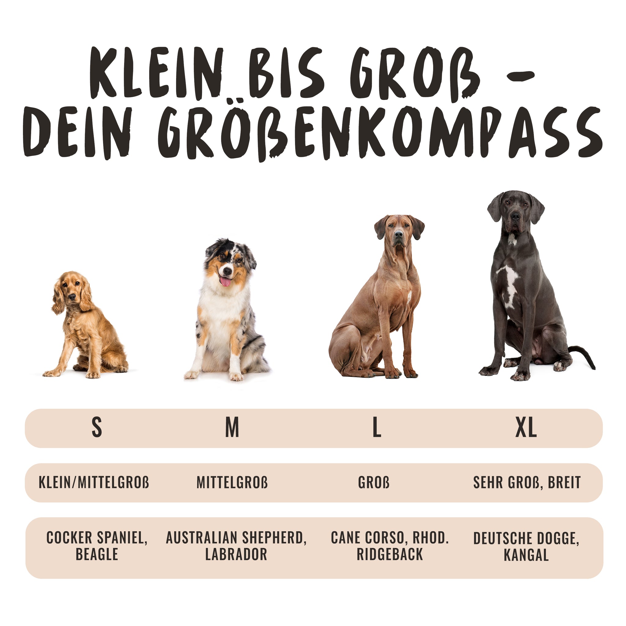 Die Übersicht der passenden Geschirrgröße für Hunderassen hilft Hundehaltern bei der Auswahl des richtigen Geschirrs.