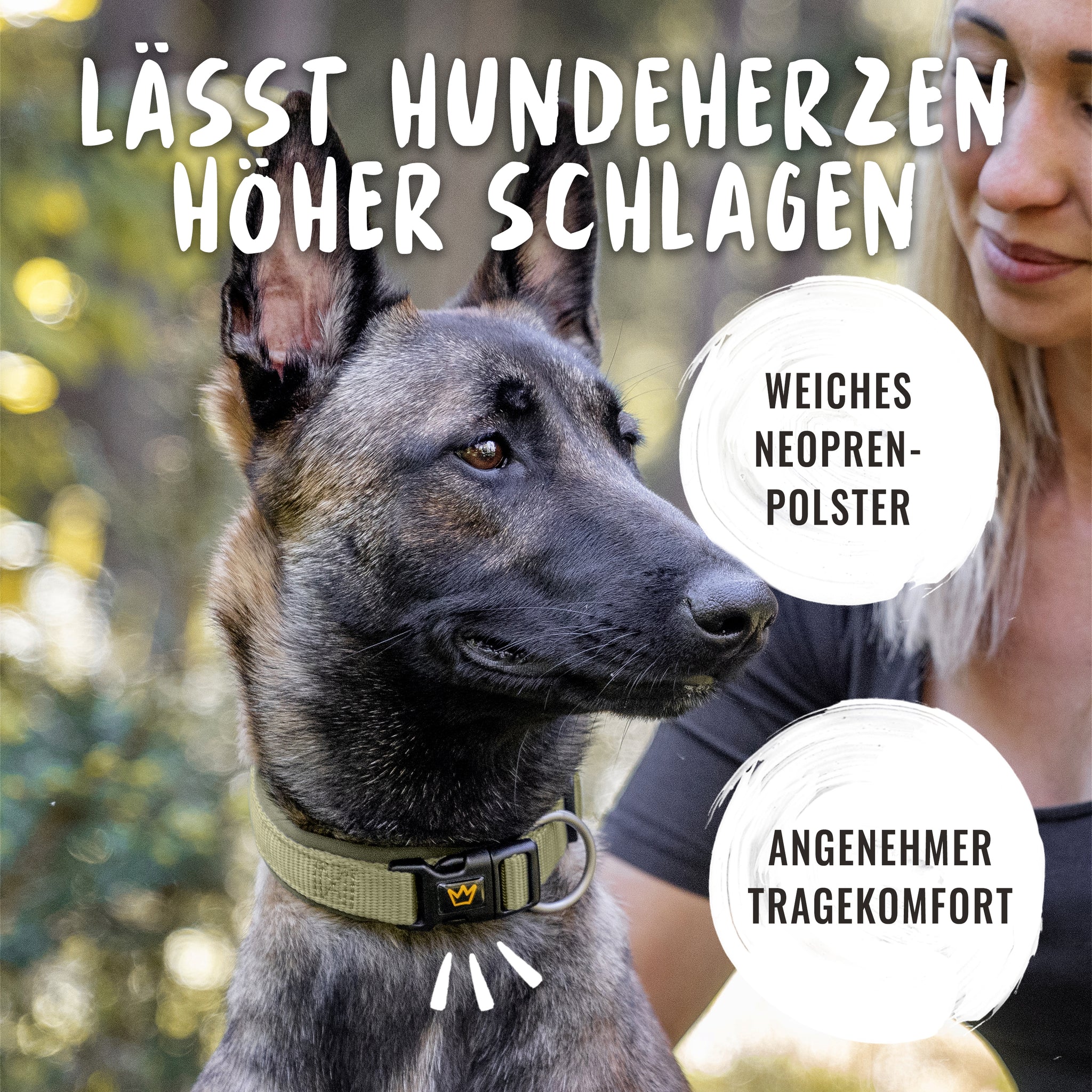 Durch weiche Neopren Polsterung des Halsbands für Hunde ist der Hund mit Halsband im Bild zufrieden beim Gassi Gehen