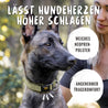 Durch weiche Neopren Polsterung des Halsbands für Hunde ist der Hund mit Halsband im Bild zufrieden beim Gassi Gehen