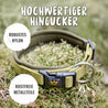 Robustes Nylon und rostfreie Metallteile machen das Halsband Bella zum hochwertigen Hingucker beim Gassi Gehen mit Hund.