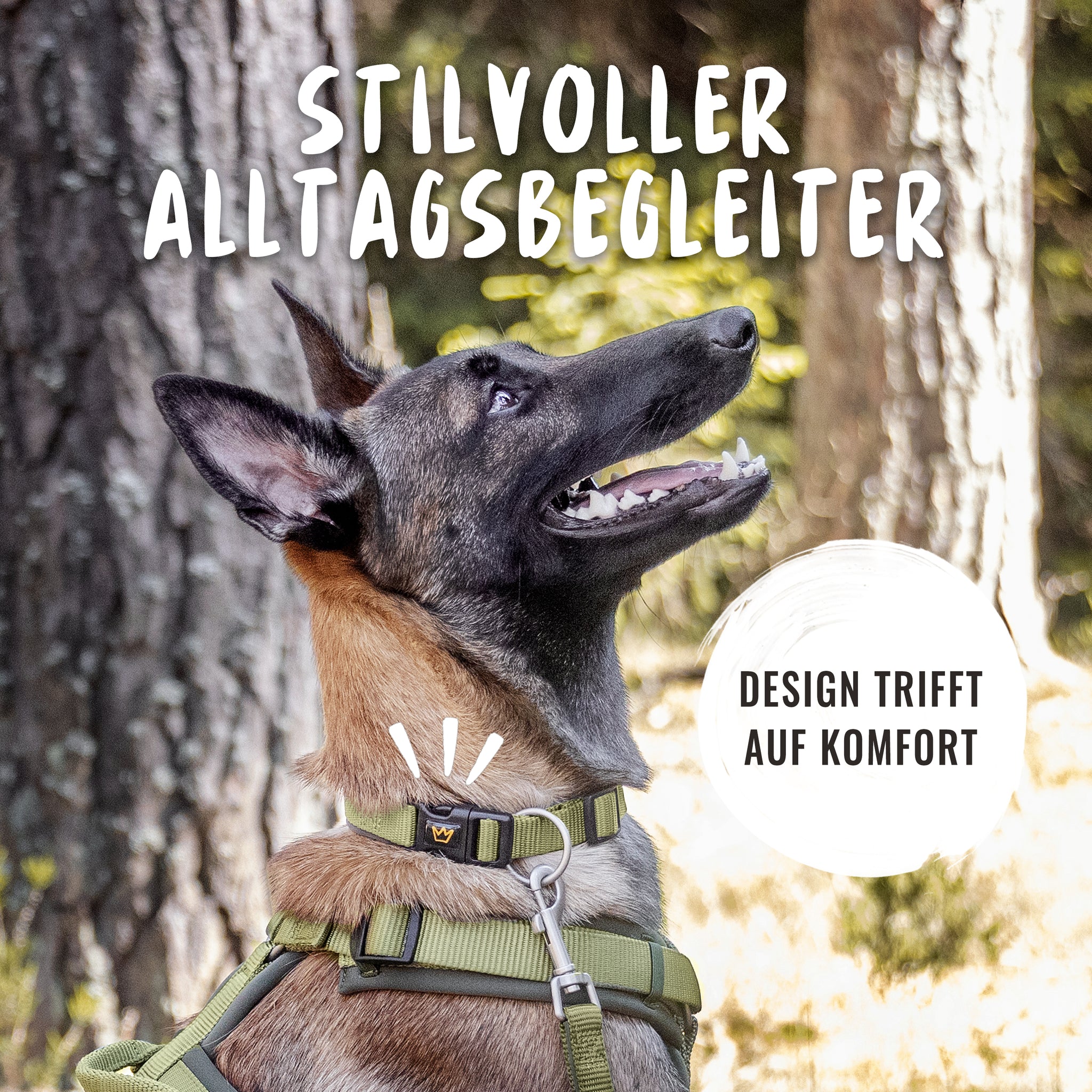 Die Gassi Reihe Bella mit dem Hundehalsband ist ein stilvoller Begleiter für Hundehalter.