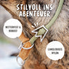 Grünes Halsband Emma ist robust und für ein Hundeleben gemacht. Halsband Emma zügelt deinen Hund beim Ziehen an der Leine. 