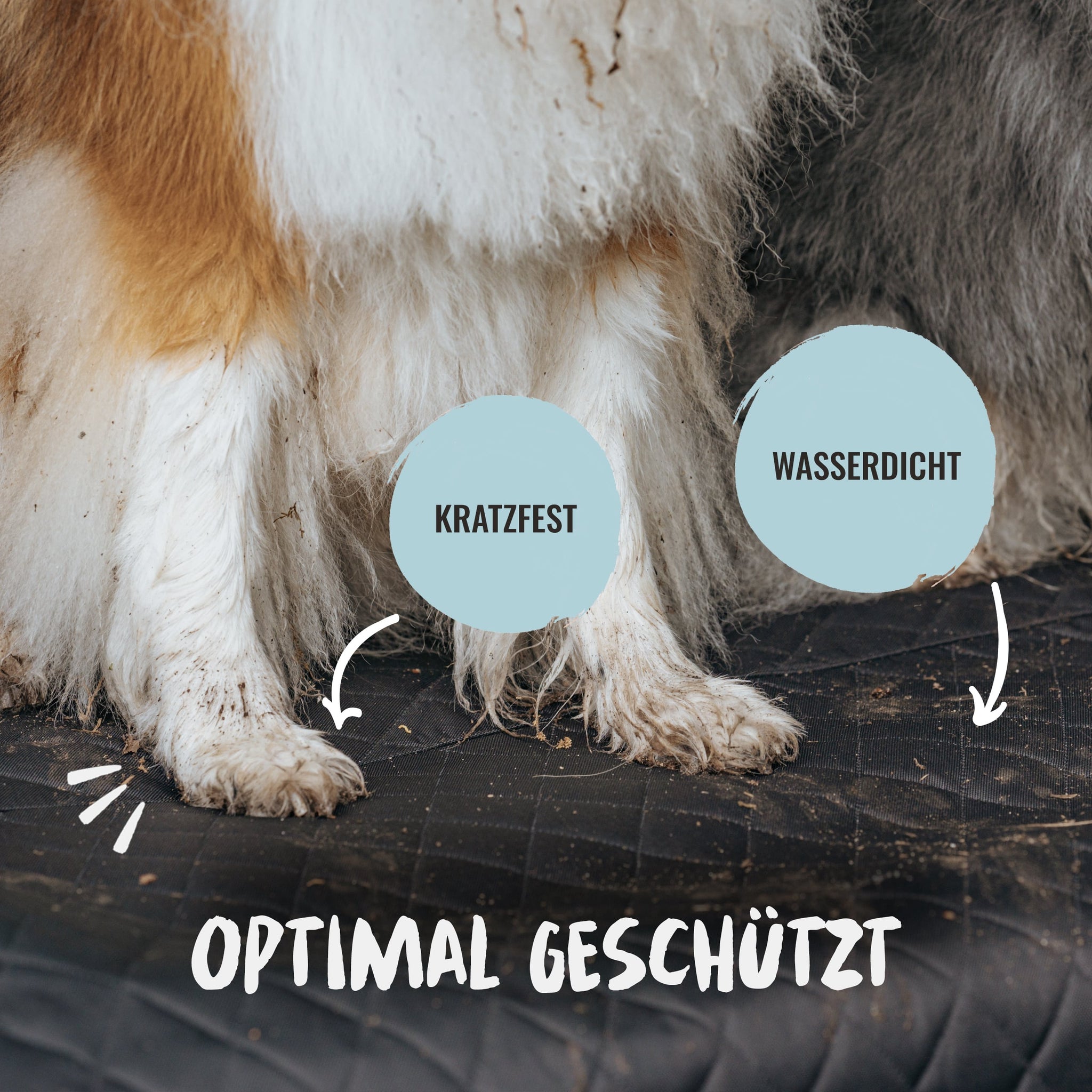 Kofferraumschutz Luxus - Die perfekte Autoschondecke für Hunde – Rudelkönig