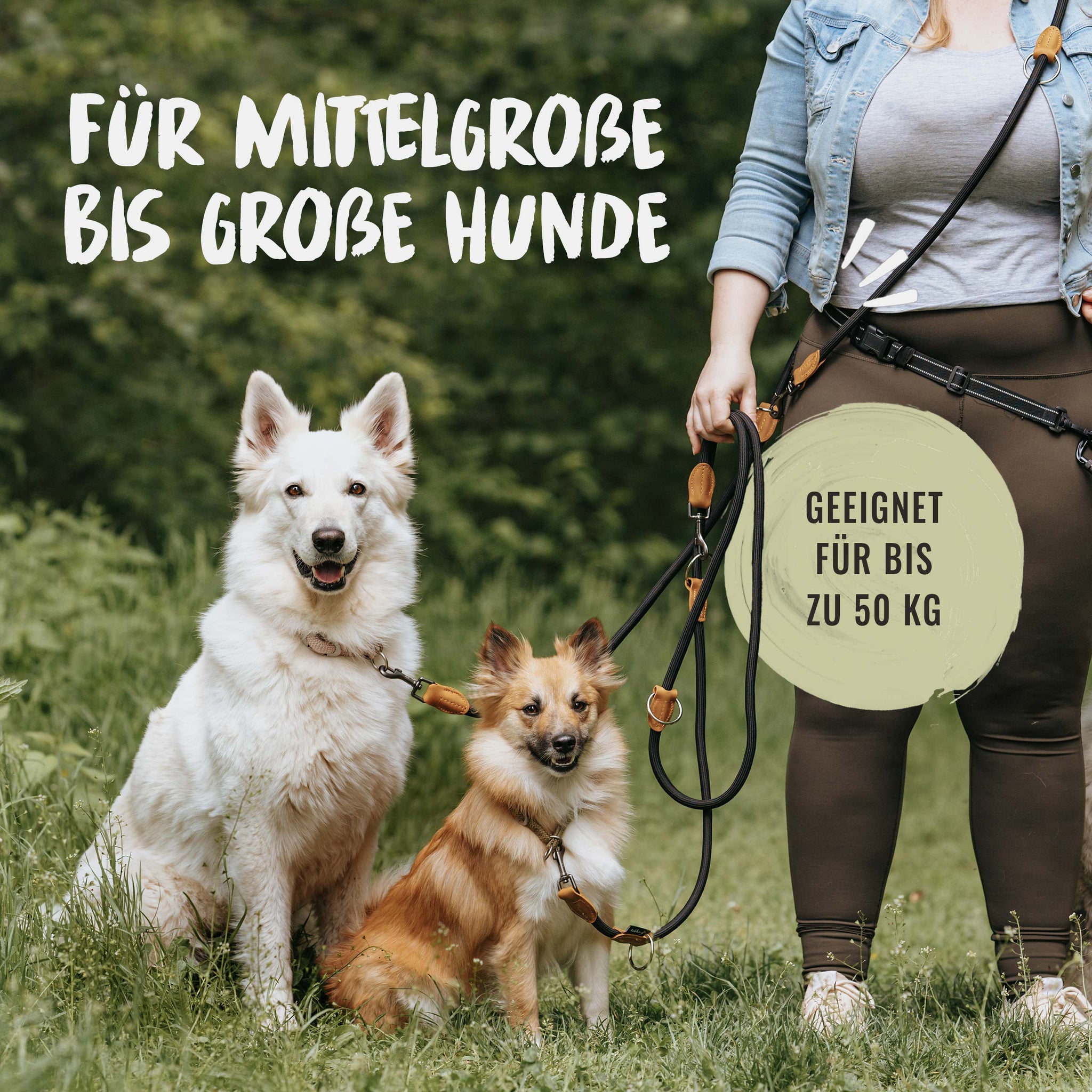 Die multifunktionale Hundeleine von Rudelkönig ist für mittelgroße bis große Hunde geeignet.