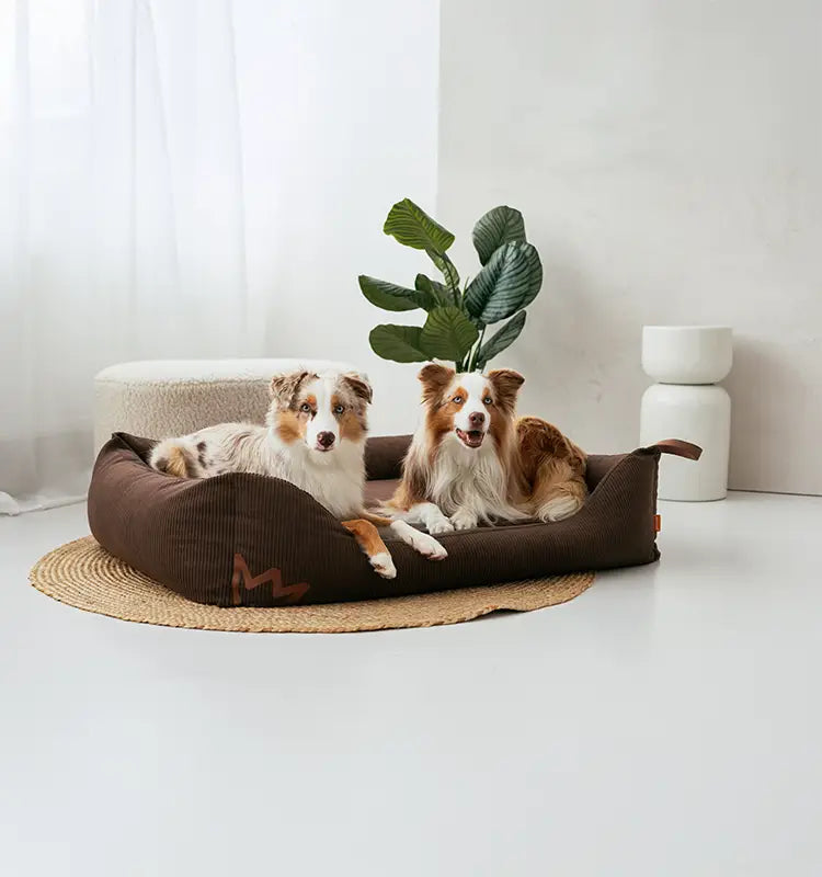 Shop_Herobanner_Col_BettKoye7_mobile_750x800_6ac05666-d01a-4d62-a61a-20d9e857308a.webp