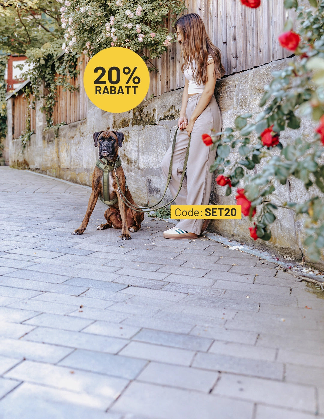 Frau führt ihren Hund in einer historischen Gasse mit Kopfsteinpflaster und Natursteinmauern Gassi mit Rudelkönig Bella Hundegeschirr und Bella Hundeleine.