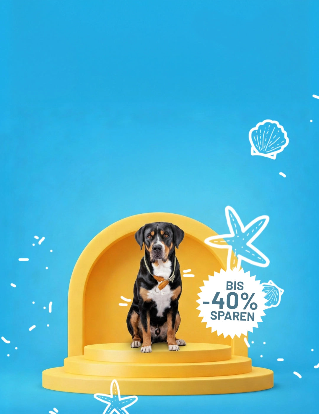 Rudelkönig Sommersale für Hundezubehör mit bis zu 40% Rabatt: Hund sitzt auf einer gelben Bühne vor sommerlichem Hintergrund mit maritimen Motiven.