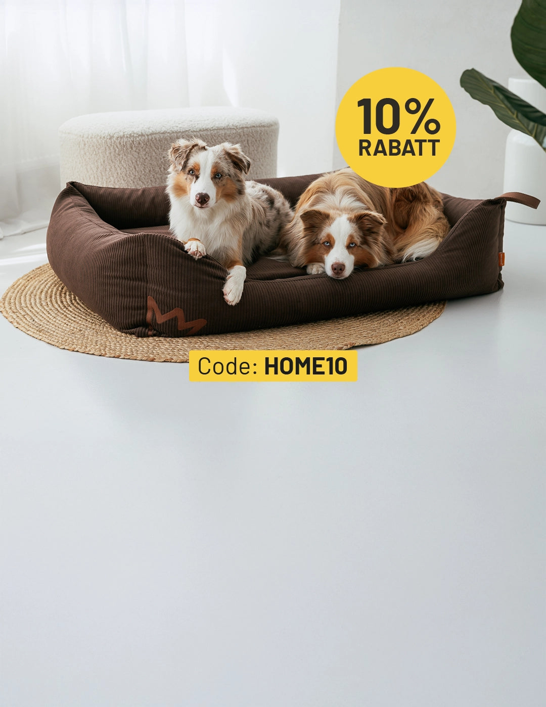 Zwei Hunde ruhen nebeneinander im weichen Rudelkönig Hundebett Koye mit hohem Rand, aufgenommen in einem hellen, modernen Wohnraum mit Rabatt-Hinweis.