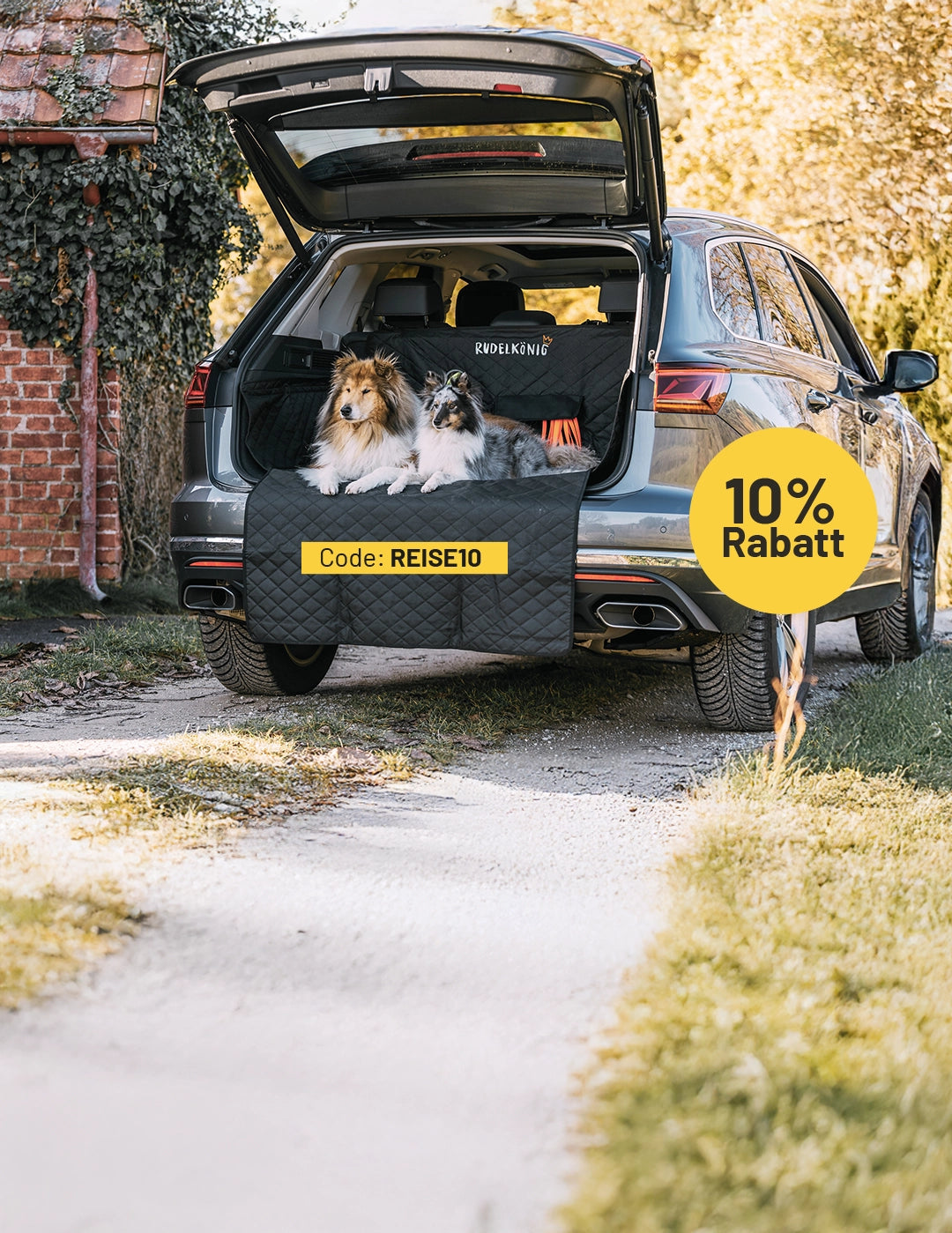 Zwei Hunde sitzen im Kofferraum auf einer Rudelkönig Autoschutzdecke während das Auto im Grünen steht.