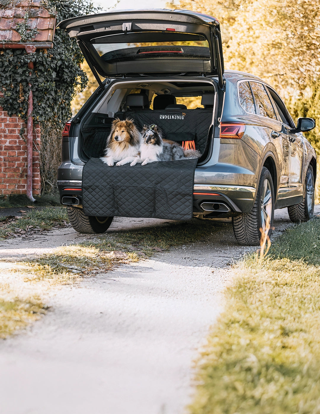 Rudelkönig Auto Kofferraumschutz für Hunde: Zwei Hunde reisen sicher und bequem im Kofferraum eines SUVs auf einer strapazierfähigen Schutzdecke für unterwegs.
