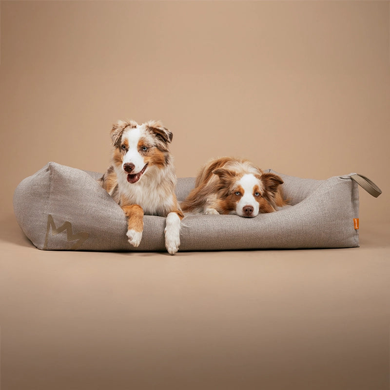 Zwei Australian Shepherds liegen im Studio vor einem braunen Hintergrund im Rudelkönig Hundebett Koye in graubeige und schauen süß in die Kamera.