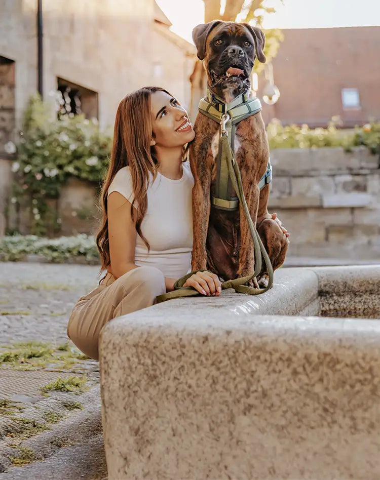 Frauchen sitzt mit ihrem Hund im Sommer mit Rudelkönig Geschirr Bella und der Hundeleine Bella an einem Brunnen
