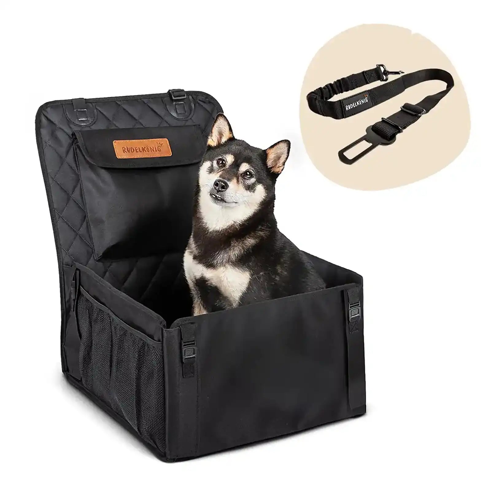 Knubbel Beim Hund Unter Der Haut - Stelle Frage