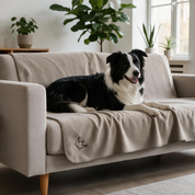 Hundedecke Snori