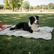 Hundedecke Snori