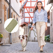 Stilvolle Alltagsleine | Funktional oder schön? Warum nicht beides? Unsere Hundeleine Bella (2cm breit und 230cm lang) kombiniert robustes Nylon Material mit stilvollem Design – alltagstauglich und ein echter Hingucker.