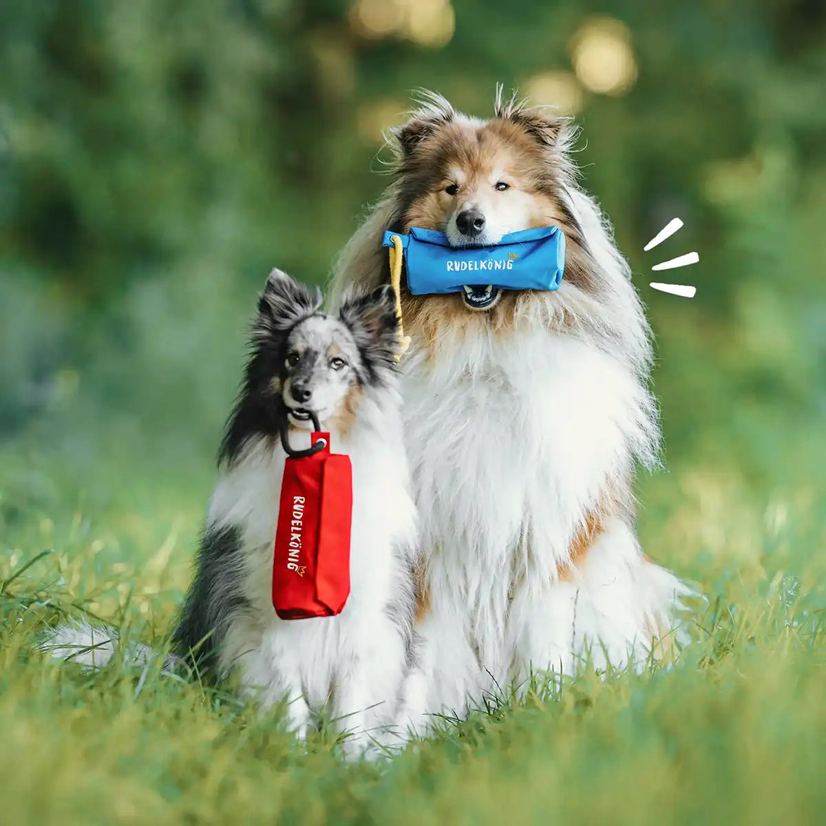 Mit nur federleichten 60g Gewicht kannst du den Dummy überall mitnehmen. Ideal für Hunde jeder Größe – vom kleinen Wirbelwind bis zum großen Apportierprofi.