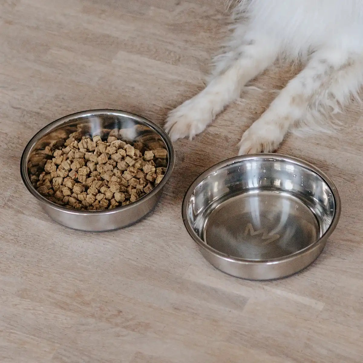 Futterplatz-Set Hunde – rutschfest & pflegeleicht | Rudelkönig