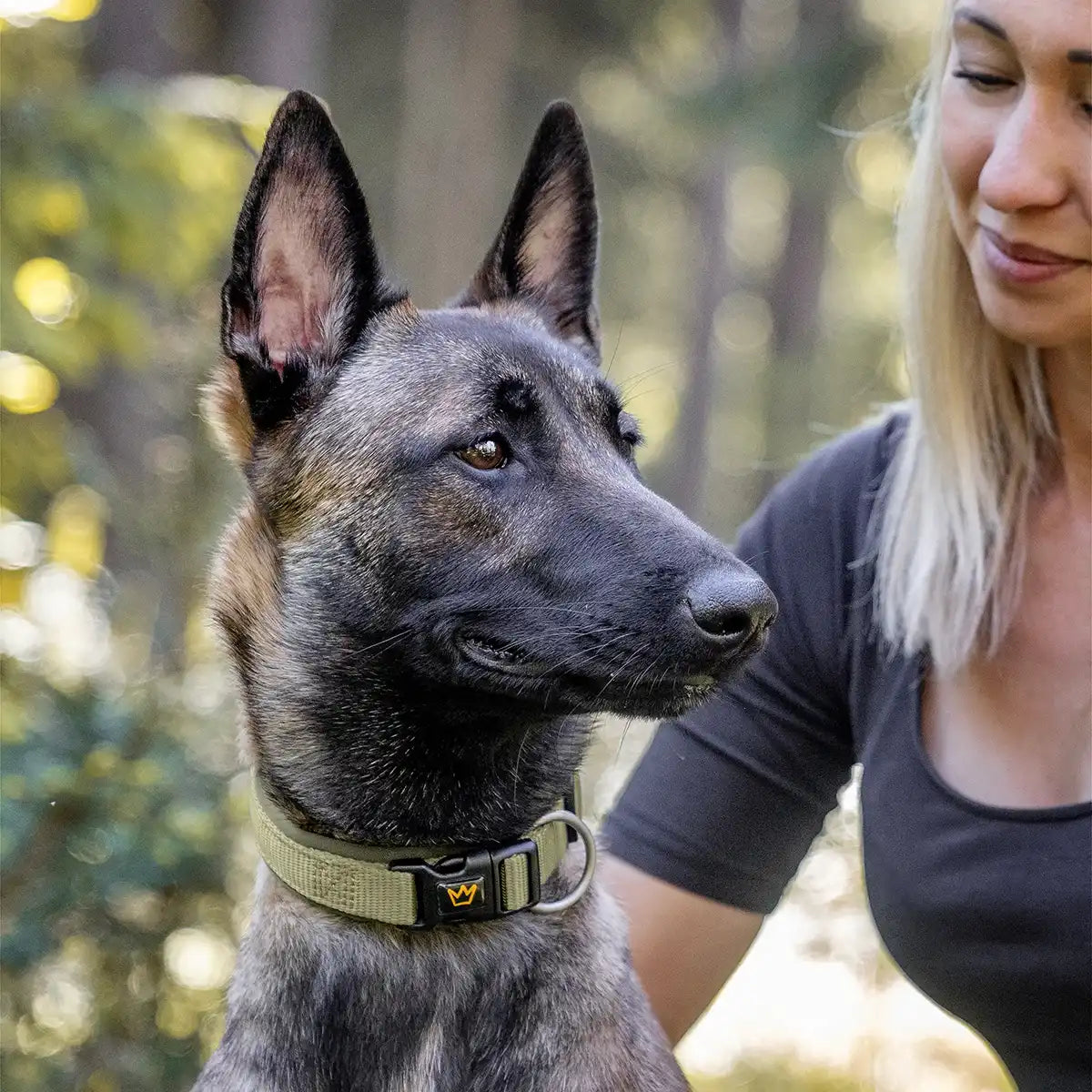 Lässt Hundeherzen höher schlagen | Das weiche Neopren sorgt für angenehmes Tragen, während der stabile Verschluss alles an Ort und Stelle hält. Dein Hund wird es lieben!
