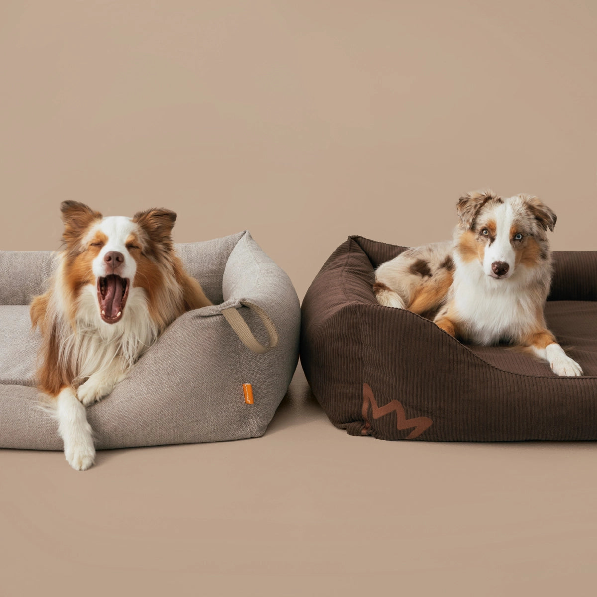 Du musst nicht uns glauben. Vertrau deinem Hund. Sobald er einmal im Koye lag, wirst du sehen: Er steht freiwillig nicht mehr auf. Und genau so soll ein Hundebett sein - nicht gut, sondern geliebt. Weil wir von bester Qualität überzeugt sind. 