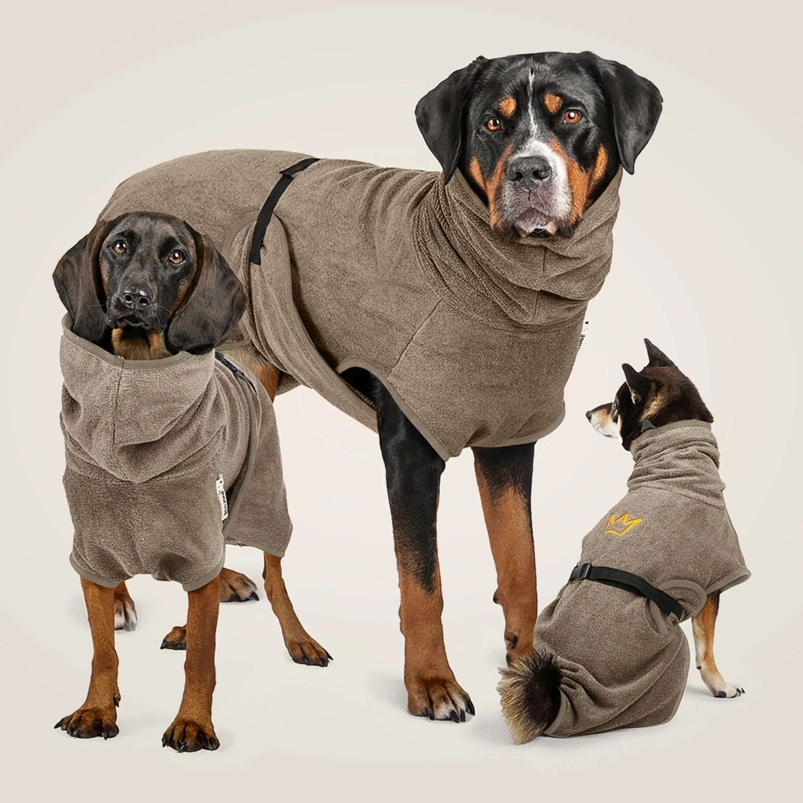 Rudelkönig Hunde Bademantel in grau aus 100% echter Baumwolle für entspanntes Trocknen nach dem Baden.