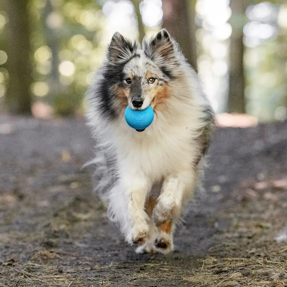 RAW Hundespielzeug Quietschkegel - Langlebig & Ungiftig, Mit Exklusivem Schlüsselanhänger, Schwarz