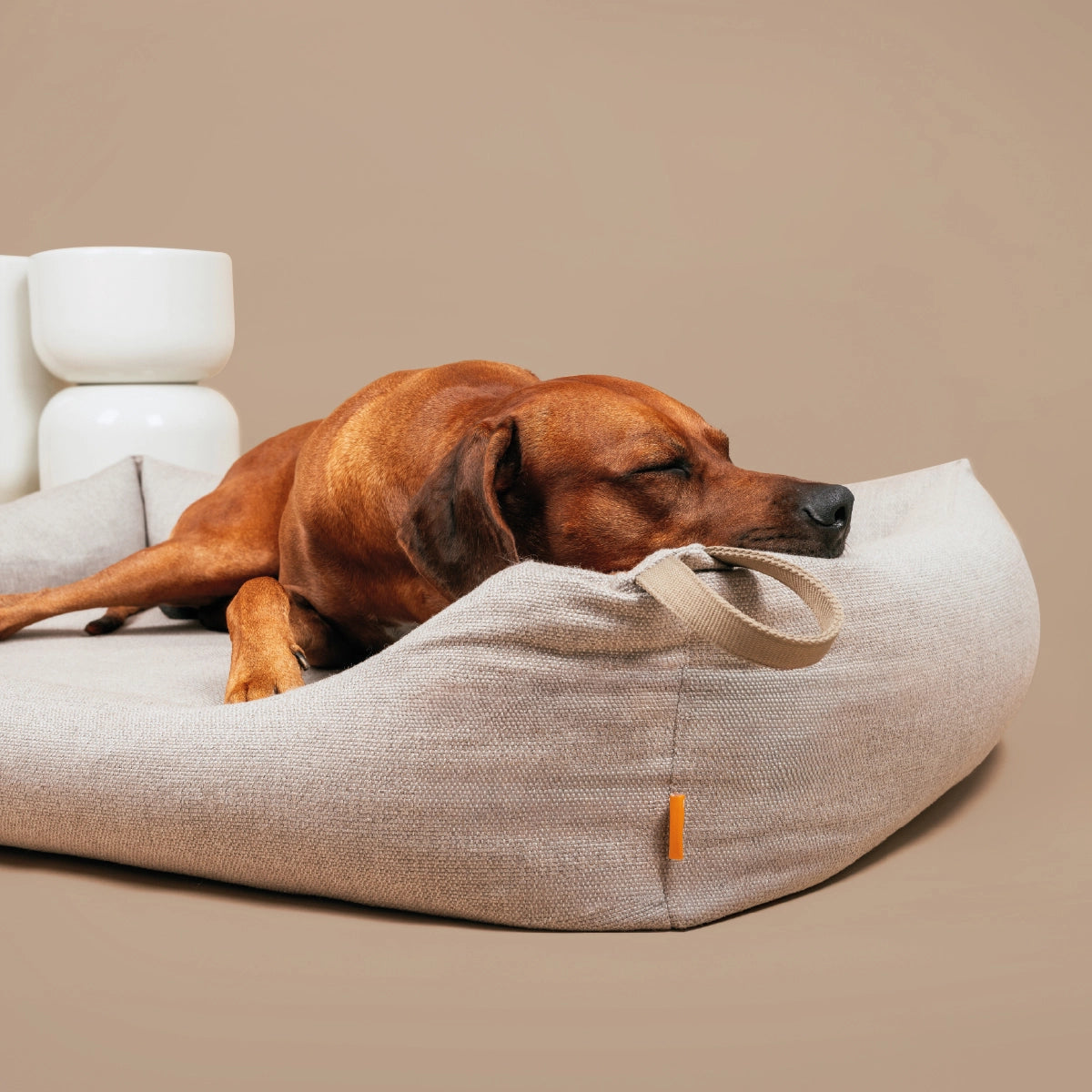 Viele Hunde schlafen unruhig, weil ihnen Halt fehlt. Die bequemen Kopfstützen unseres Betts umschließen deinen Hund wie eine Höhle, schenken Sicherheit und Geborgenheit und entlasten den Nacken. Zur Ruhe kommen - jeden Tag. 