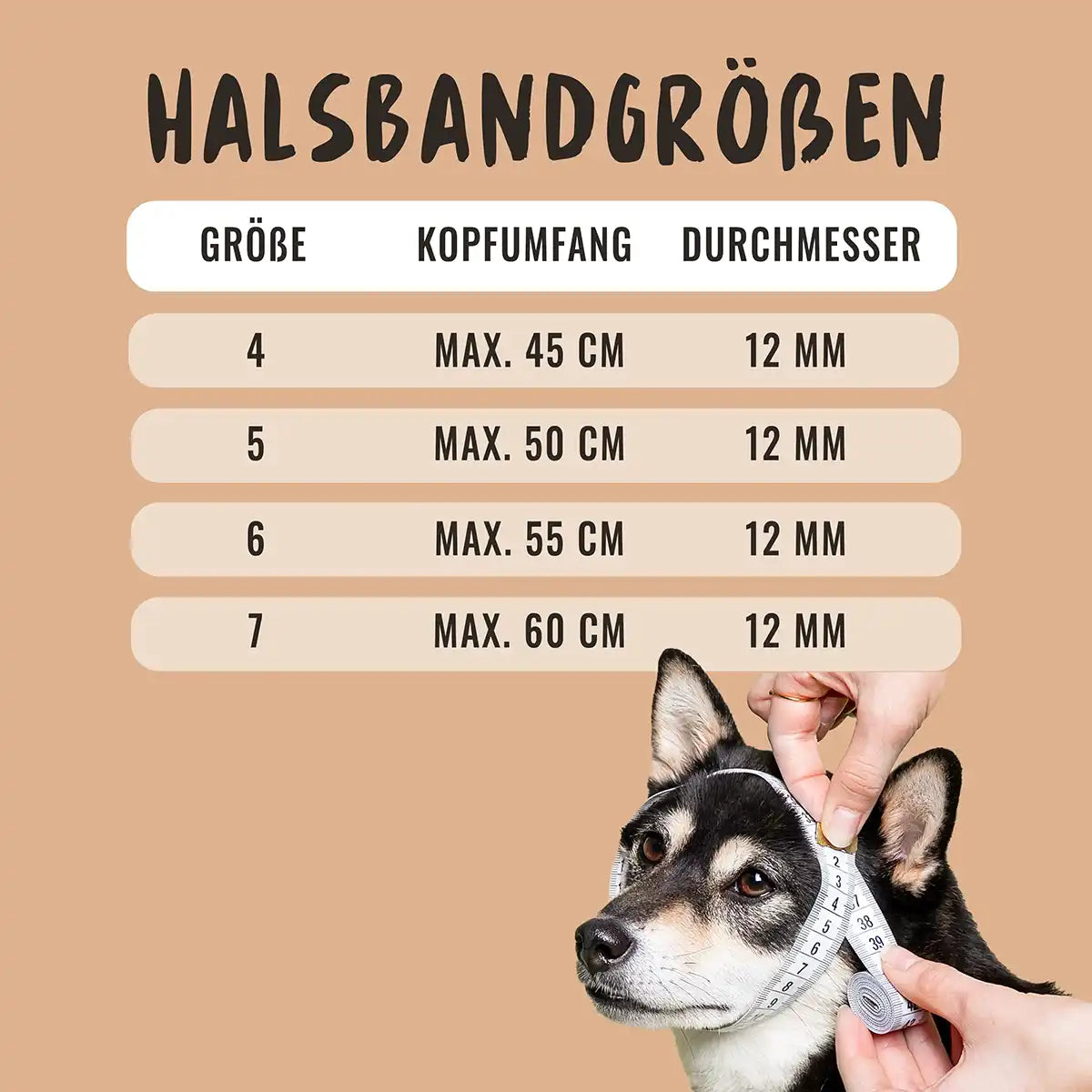 Weich Gepolstertes Hundehalsband – Verstellbar 30,5-50,8 Cm, Mit Reflektierendem Logo, Camouflage Violett