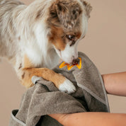 Bauch & Pfoten, ohne Verrenkung | Gerade Bauch, Flanken und Pfoten sind beim Abtrocknen nervig, weil das Handtuch rutscht und du keinen Griff hast. Die Eingriffe von Frotta geben dir Kontrolle wie mit Handschuhen. So erreichst du die schwer zugänglichen Stellen schnell auch wenn dein Hund zappelt.