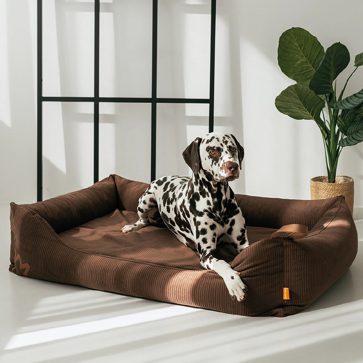 Du musst nicht uns glauben. Vertrau deinem Hund. Sobald er einmal im Koye lag, wirst du sehen: Er steht freiwillig nicht mehr auf. Und genau so soll ein Hundebett sein - nicht gut, sondern geliebt. Weil wir von bester Qualität überzeugt sind. 