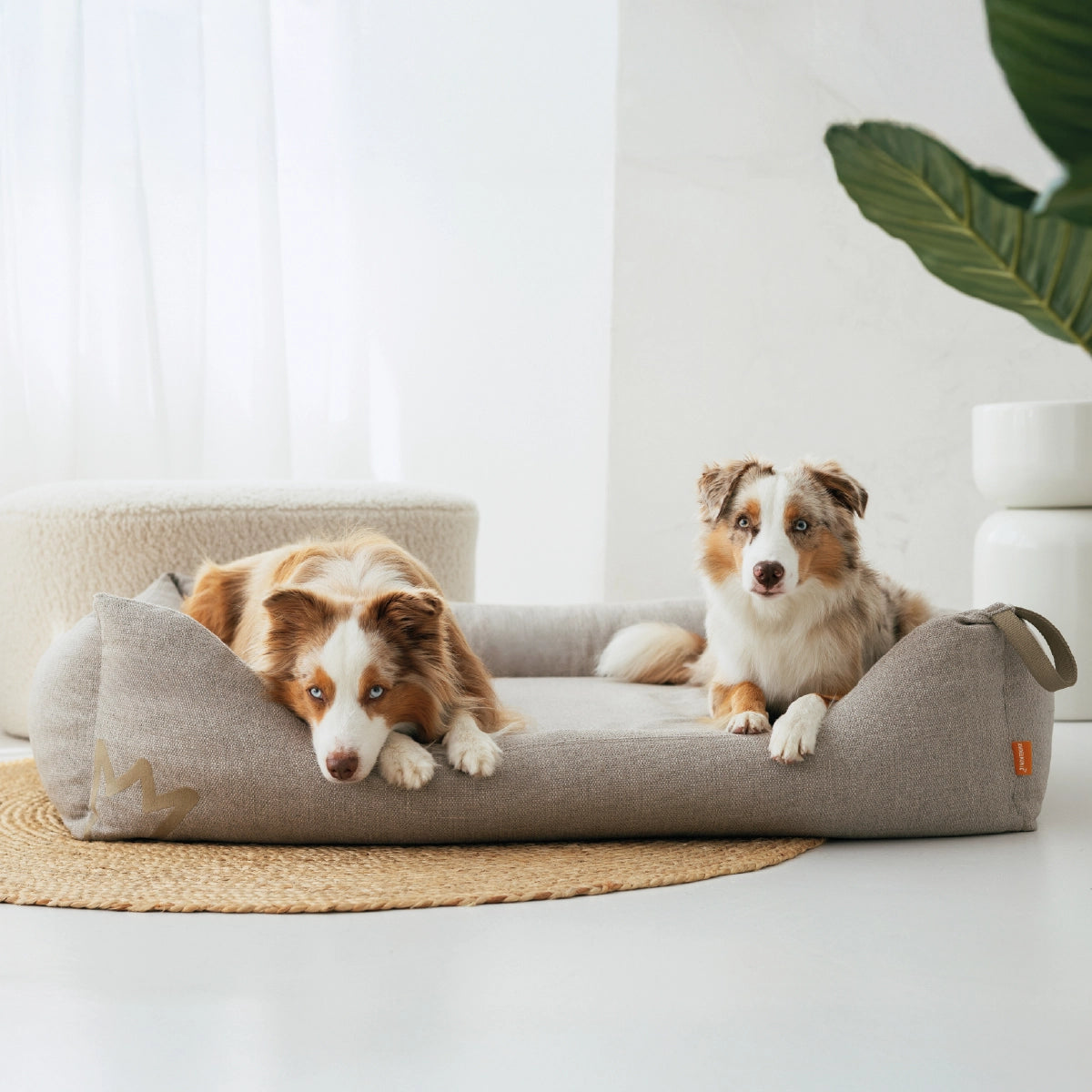 Viele Hundebetten verlieren nach kurzer Zeit ihre Form. Nicht unsere. Der hochwertige Memory-Schaum bleibt dauerhaft formstabil, bietet konstant Entlastung und begleitet deinen Hund jahrelang - und weil wir das sicher behaupten können gibt es 10 Jahre Garantie auf die Matratze.