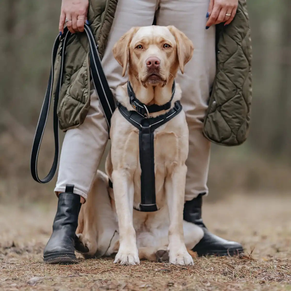 Komfort, den dein Hund spürt | Extra weiches Neopren polstert Brust und Schultern, damit nichts drückt oder scheuert. Das atmungsaktive Material sorgt für höchsten Tragekomfort – auch bei langen Spaziergängen oder wilden Abenteuern.