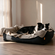 Hundedecke Snori