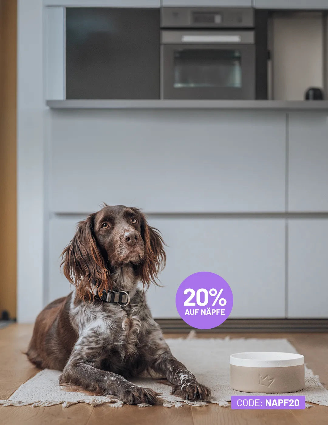 Code NAPF20 für 20% auf Näpfe: In der Küche blickt ein Vierbeiner mit Schlappohren neben einem beigen Napf nach oben.